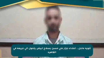 تنويه عاجل.. اعتداء جزار على مسن بسلاح أبيض يتحول إلى جريمة في القاهرة
